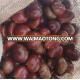 Favorable price of fresh chestnut with good taste