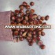 best selling hot Chinese raw fresh edible chestnut wholesale food distributors in China