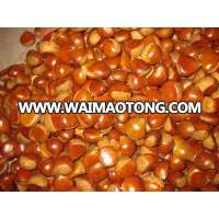 buy raw chestnut and organic food distributors for best product