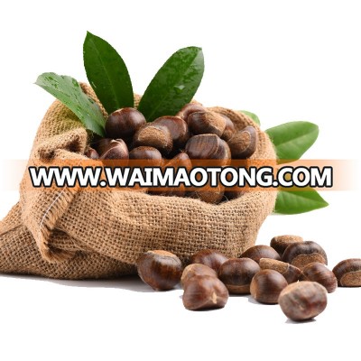 organic chinese yanshan mountain chestnut